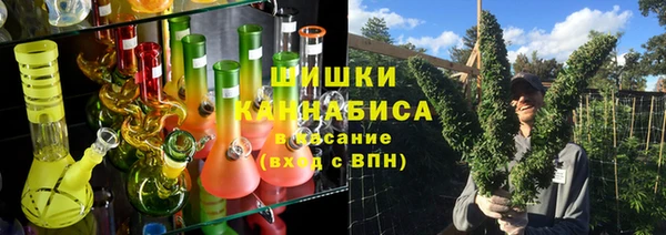 apvp Рославль