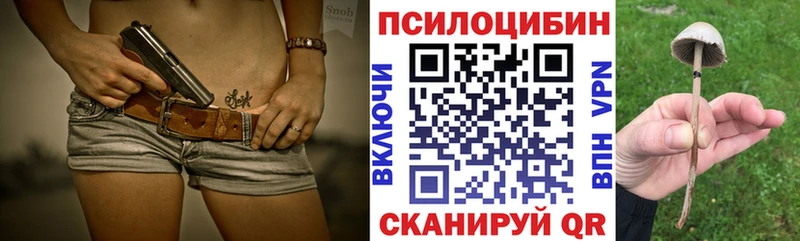 Купить  Черемхово  Псилоцибиновые грибы Cubensis 